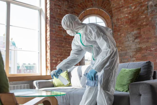 Best Emergency Mold Remediation  in South Windham, CT